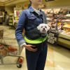 Pet Carrier for Dogs Cats Hand Free Sling Adjustable Padded Strap Tote Bag Breathable Shoulder Bag Carrying Small Dog Cat